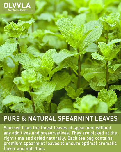 Olvvla - Spearmint Tea Bags - 1.5g X 50 Count - 100% Pure Natural Spearmint Leaves Herbal Tea - Non-GMO - Caffeine-free