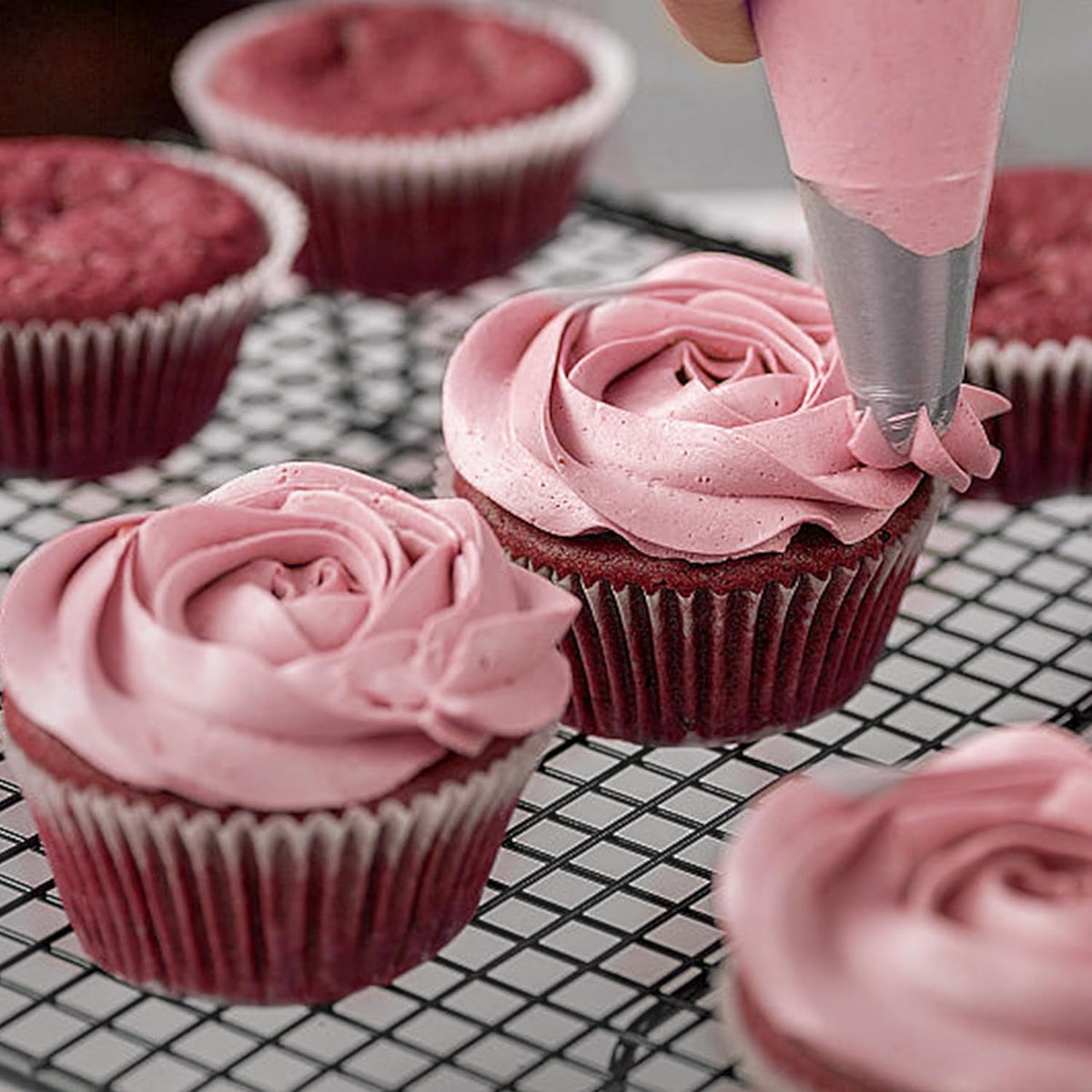 5PCS Large Piping Tips Set, Cokuma Stainless Steel Cake Decorating Tips, Frosting Icing Tips for Cupcakes, Cake