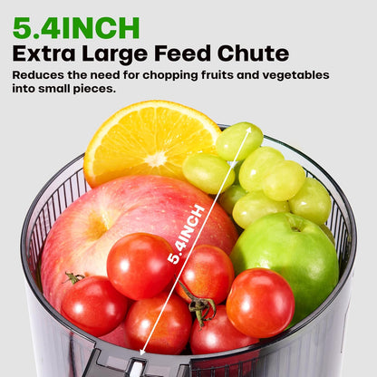 Cold Press Juicer, 5.4" Wide Feed Chute Juicer Machines for Vegetable and Fruit, Slow Masticating Juicer with AC Moter, Easy to Clean, AC-Grey