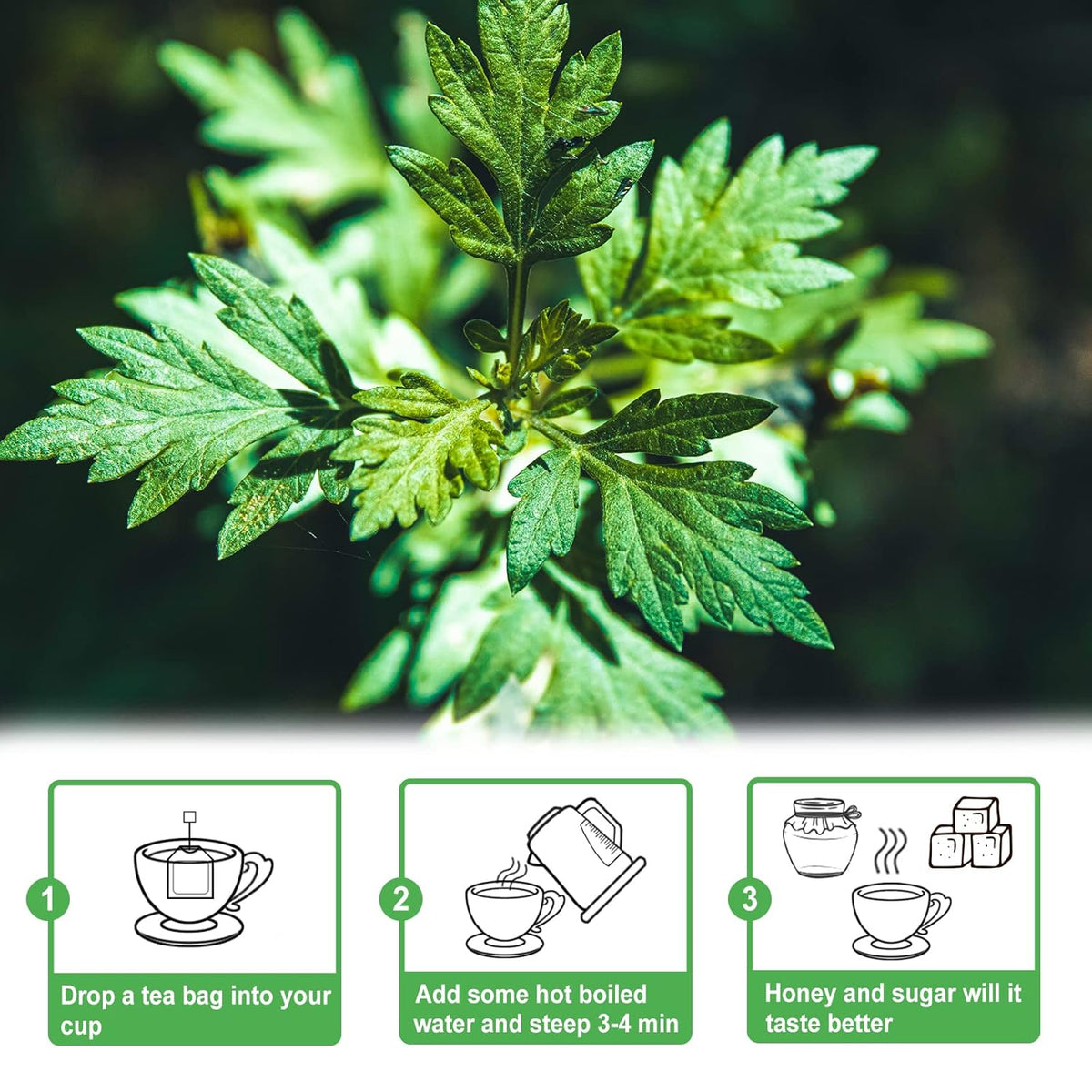 Tearelae - Mugwort Tea - 2g x 30 Count - 100% Pure Natural Dried Herbs - Premium Mugwort Herb Dried - Non-GMO - Sulfur-free