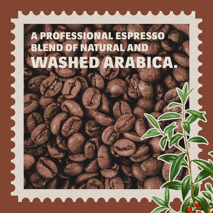 Lavazza Tierra! Selection Whole Bean Coffee Blend, Medium Roast, 2.2LB Bag, 100% Arabica, Rainforest Alliance Certified, sustainably grow
