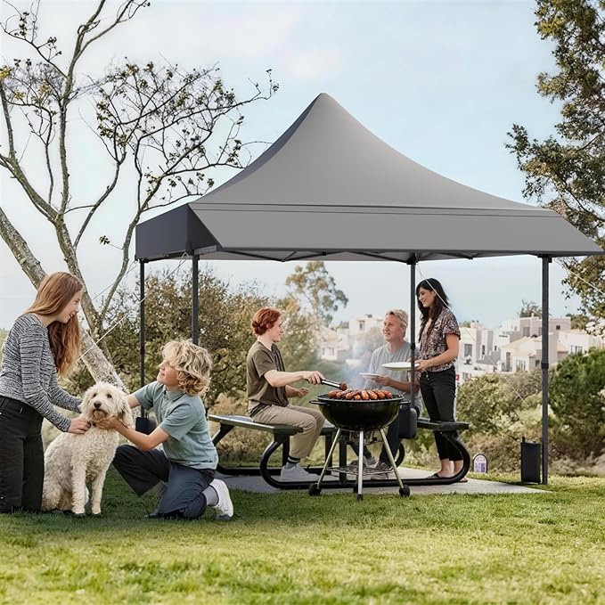 10x10 Pop Up Canopy Tent with Awning and Sidewalls, 550D Commercial Canopy, Waterproof Party Tent with Roller Bag, Grey