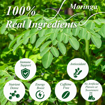 WT Weetee Moringa Tea Bags 100 Count, 100% Pure Dried Moringa Leaves, Caffeine Free Nutrient-Dense Herbal Tea