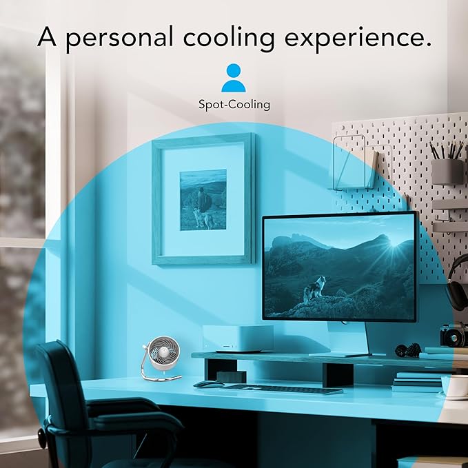 Vornado Pivot Personal Air Circulator, Portable, Desk Fan, Electric, Ice White