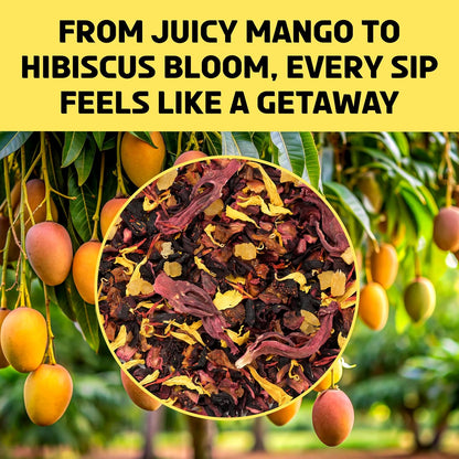 BREWIX, Mango Marvel Herbal Loose Leaf Tea (50+ Cups, 3.53oz/100g) | Caffeine-Free Fruit Tea with Hibiscus, Mango, Pineapple &amp; Strawberry | Antioxidant-Rich Tropical Tea, Hot or Iced, Resealable