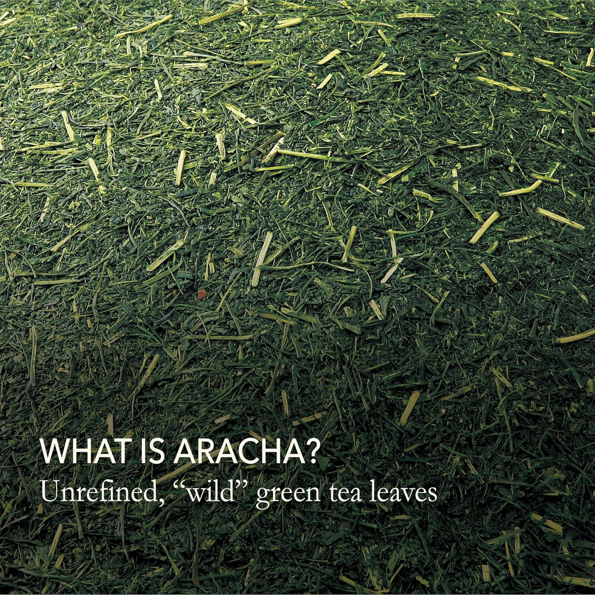 Japanese Green Tea Co. Aracha Gokuzyo Japanese Green Tea Bags (50 Pack) Biodegradable Soilon Pyramid Sachets